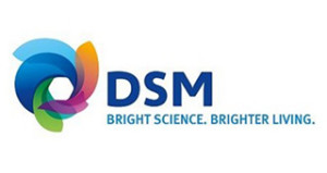 DSM 